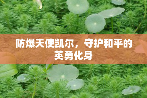 守护和平的英勇化身图片