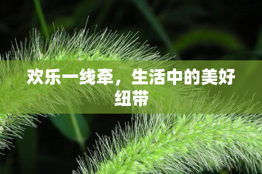 生活中的美好纽带图片