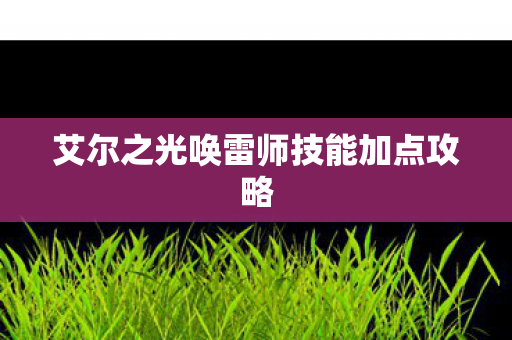 艾尔之光唤雷师技能加点攻略图片