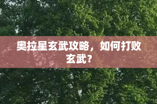奥拉星玄武攻略图片