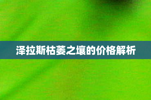 泽拉斯枯萎之壤的价格解析图片