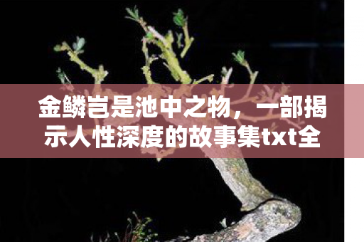 一部揭示人性深度的故事集txt全集下载图片