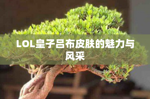 LOL皇子吕布皮肤的魅力与风采图片