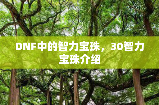 DNF中的智力宝珠图片