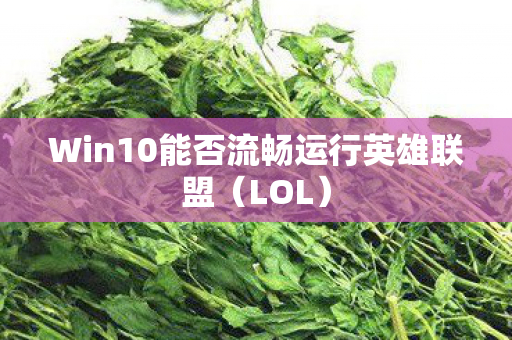 Win10能否流畅运行英雄联盟图片