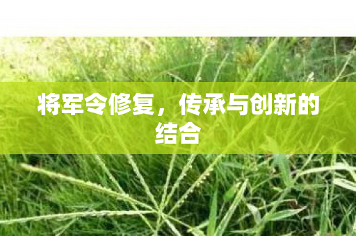传承与创新的结合图片