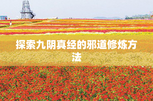 探索九阴真经的邪道修炼方法图片