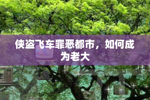侠盗飞车罪恶都市图片