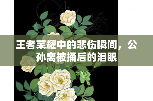 王者荣耀中的悲伤瞬间图片