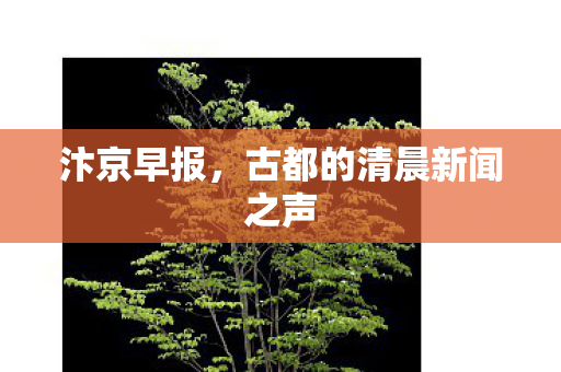 古都的清晨新闻之声图片