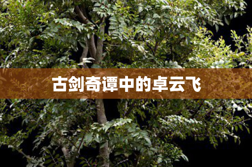 古剑奇谭中的卓云飞图片