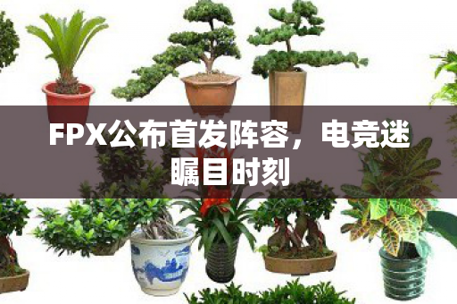 FPX公布首发阵容图片