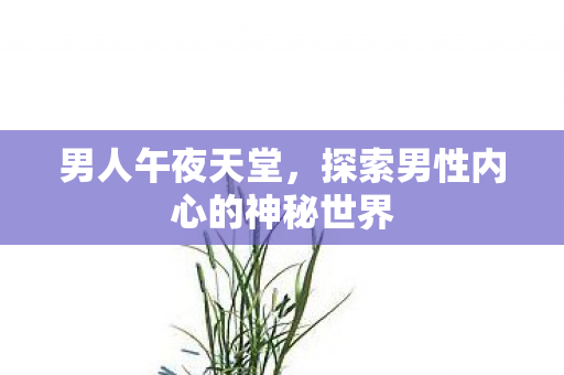 探索男性内心的神秘世界图片