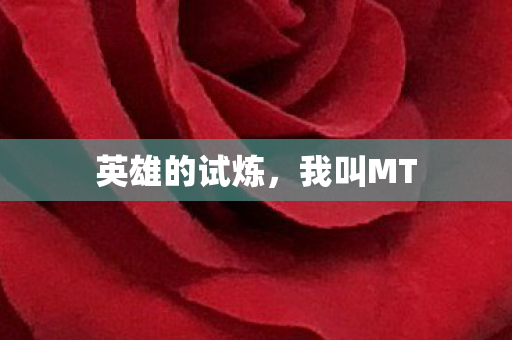 英雄的试炼图片