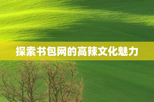 探索书包网的高辣文化魅力图片