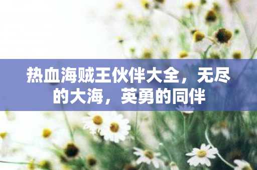 热血海贼王伙伴大全图片