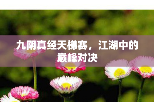 江湖中的巅峰对决图片