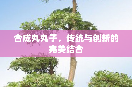 传统与创新的完美结合图片