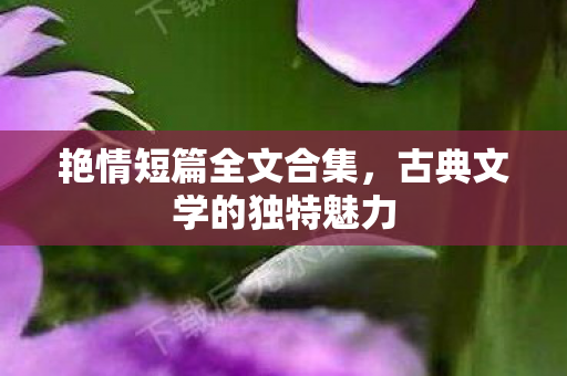 古典文学的独特魅力图片