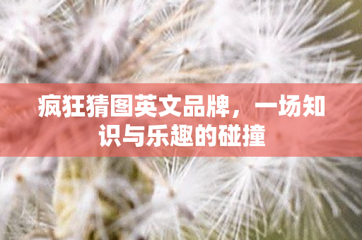 一场知识与乐趣的碰撞图片