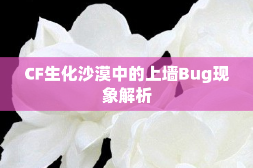 CF生化沙漠中的上墙Bug现象解析图片