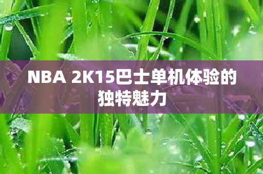 NBA 2K15巴士单机体验的独特魅力图片