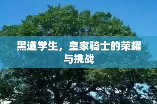 皇家骑士的荣耀与挑战图片