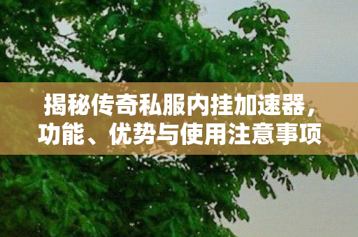 揭秘传奇私服内挂加速器图片