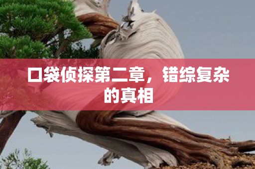 口袋侦探第二章图片
