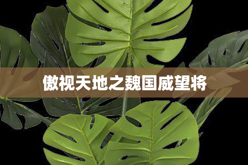 傲视天地之魏国威望将图片