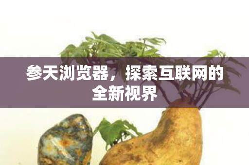 探索互联网的全新视界图片