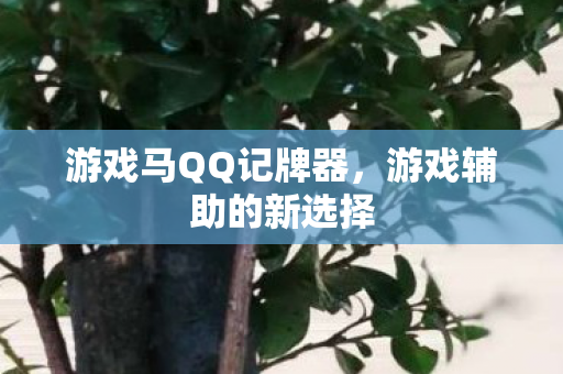 游戏马QQ记牌器图片