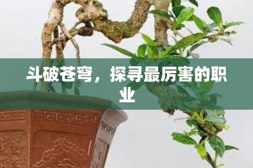 探寻最厉害的职业图片