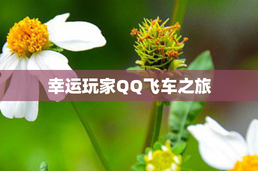 幸运玩家QQ飞车之旅图片