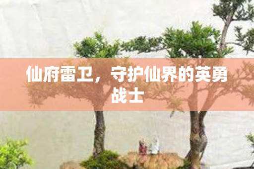 守护仙界的英勇战士图片
