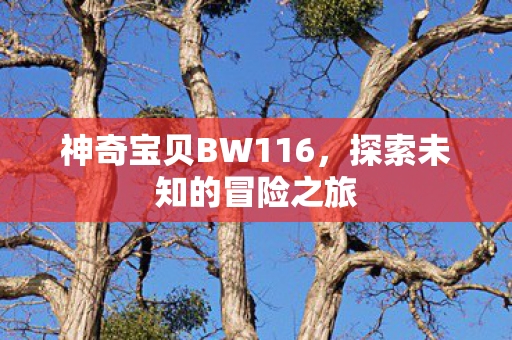 神奇宝贝BW116图片