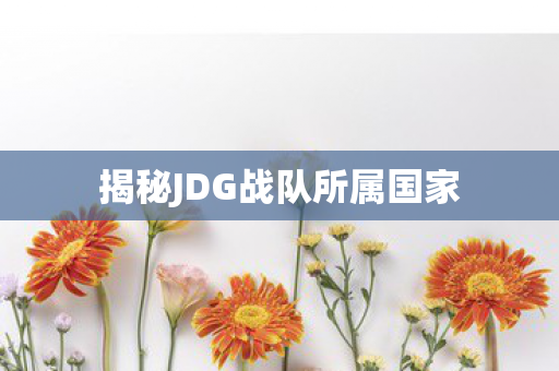 揭秘JDG战队所属国家图片