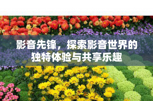 探索影音世界的独特体验与共享乐趣图片
