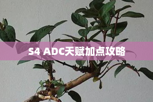 S4 ADC天赋加点攻略图片