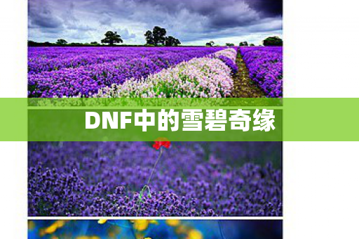 DNF中的雪碧奇缘图片