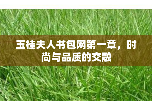 玉桂夫人书包网第一章图片