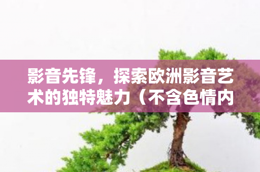 探索欧洲影音艺术的独特魅力图片