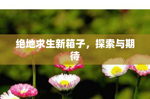 绝地求生新箱子图片