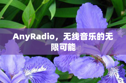 无线音乐的无限可能图片