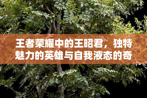 独特魅力的英雄与自我液态的奇妙故事图片
