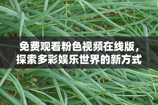 探索多彩娱乐世界的新方式图片