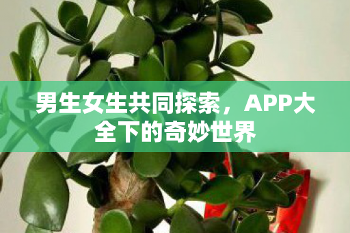APP大全下的奇妙世界图片