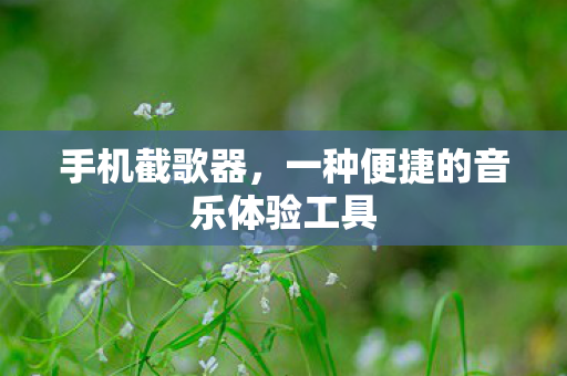 一种便捷的音乐体验工具图片