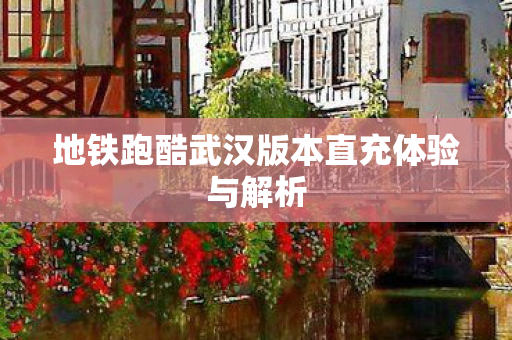 地铁跑酷武汉版本直充体验与解析图片