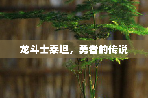 龙斗士泰坦图片